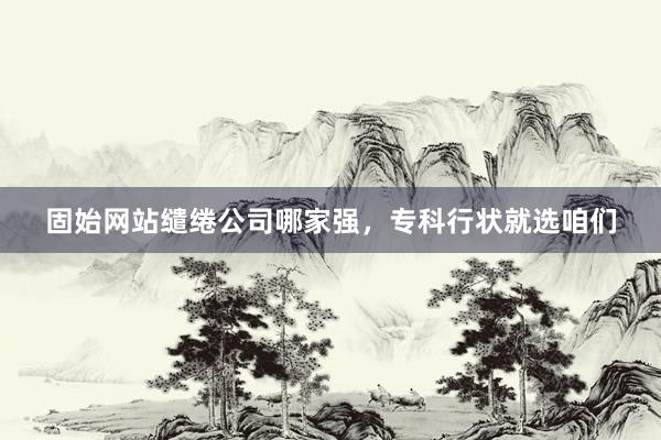 固始网站缱绻公司哪家强，专科行状就选咱们